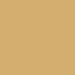 Austin Recycled Sweatshirt - Ochre Yellow